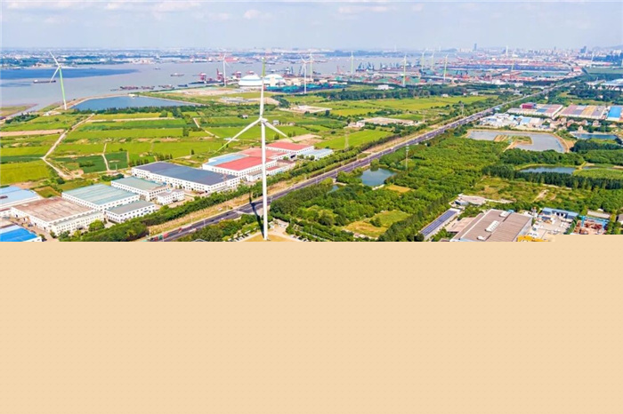 “含绿量”“含金量”双提升，“零碳港口”守“绿”成“金”