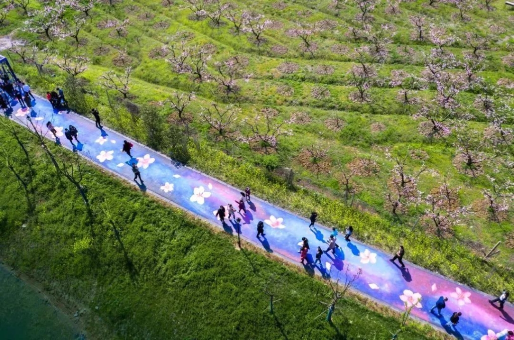 阳山桃花大道